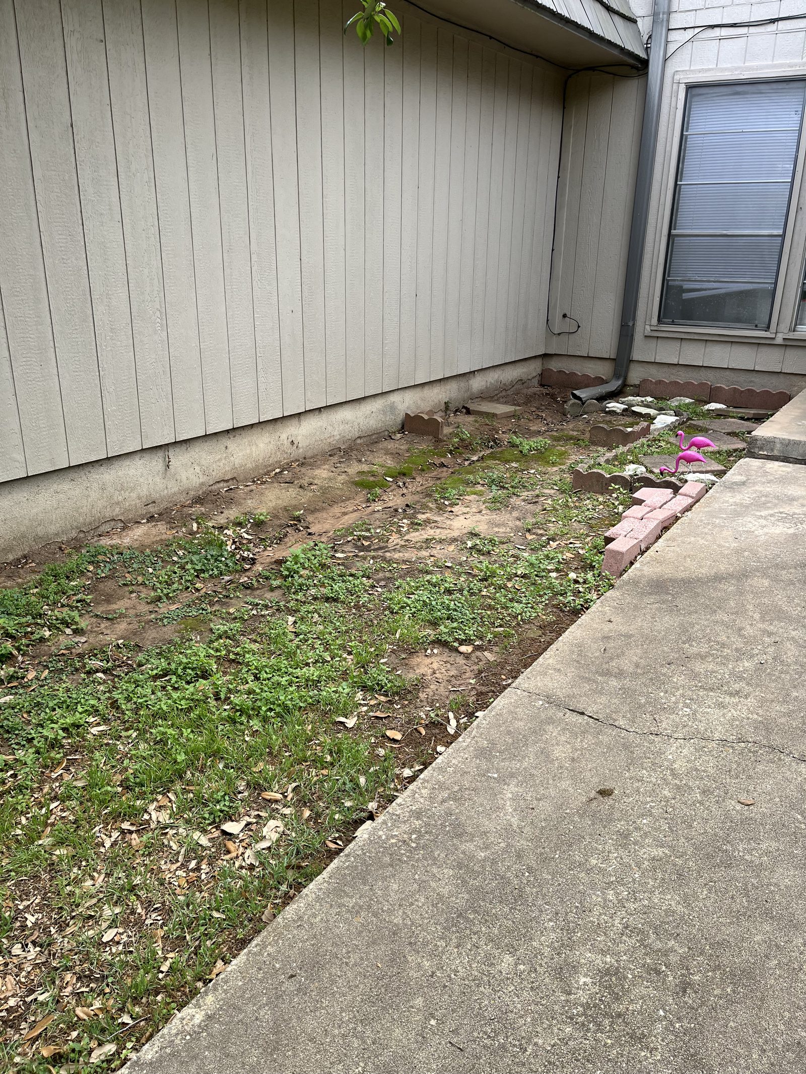 Hoarding Cleanout — hoarding cleanout job by Gone Today Junk Hauling
